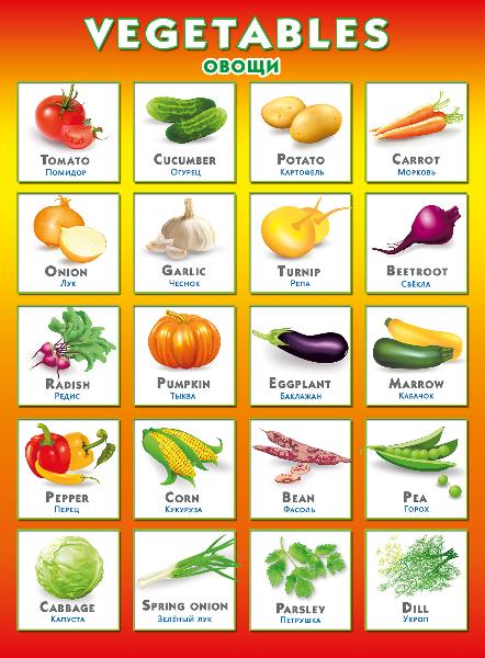 Vegetables. Овощи